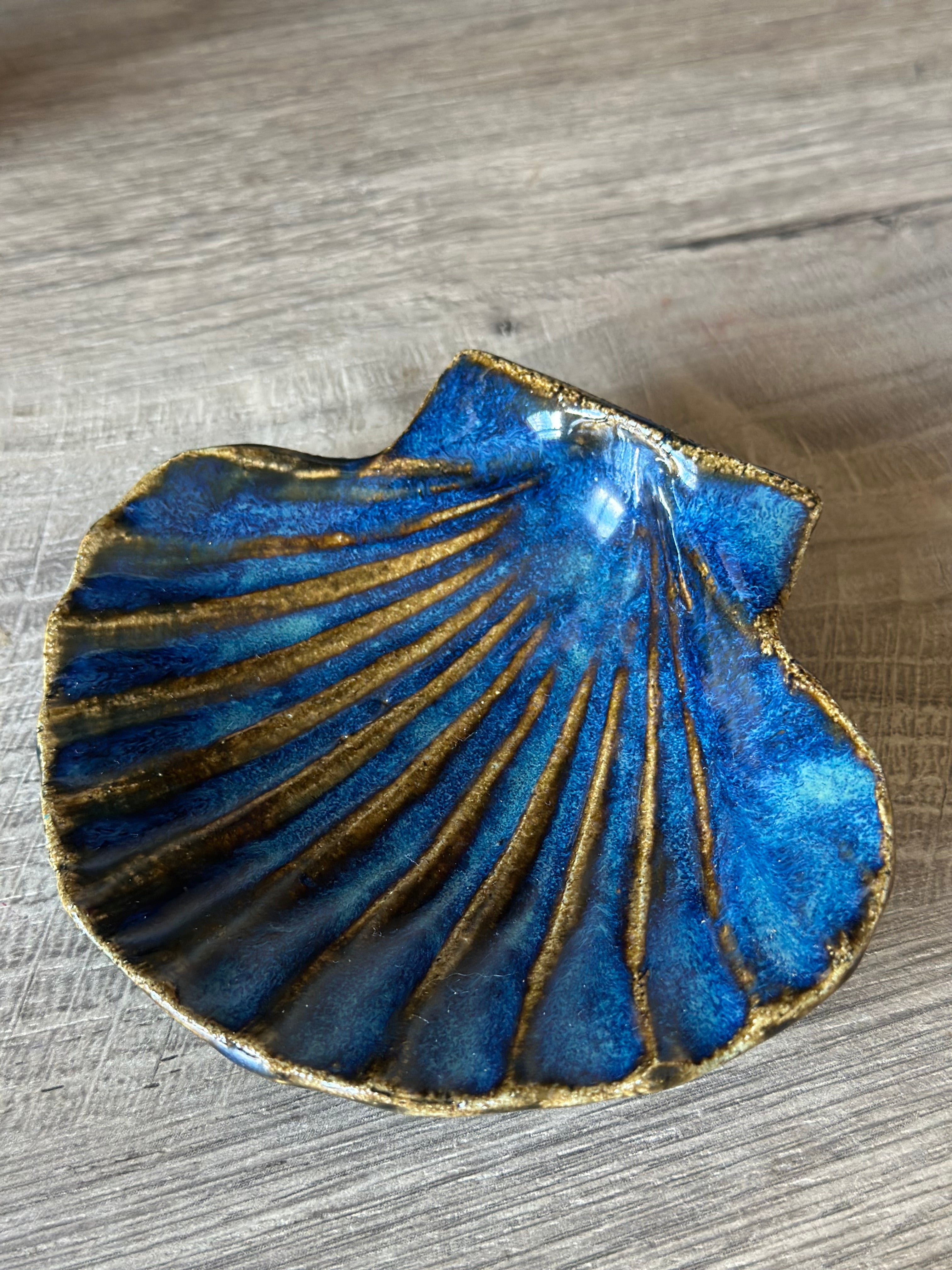 Coquille - Atlantic -