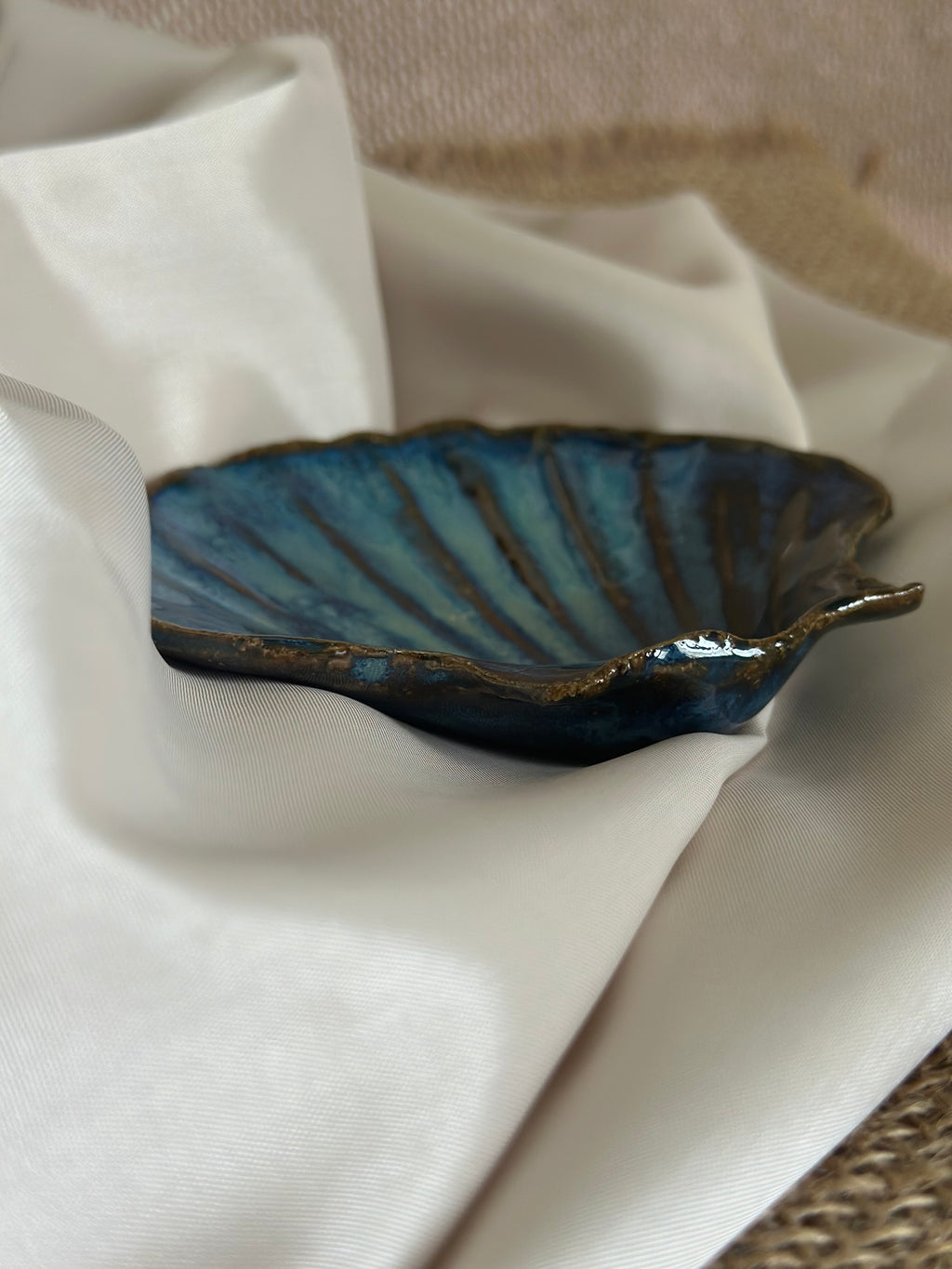 Coquille - Atlantica -