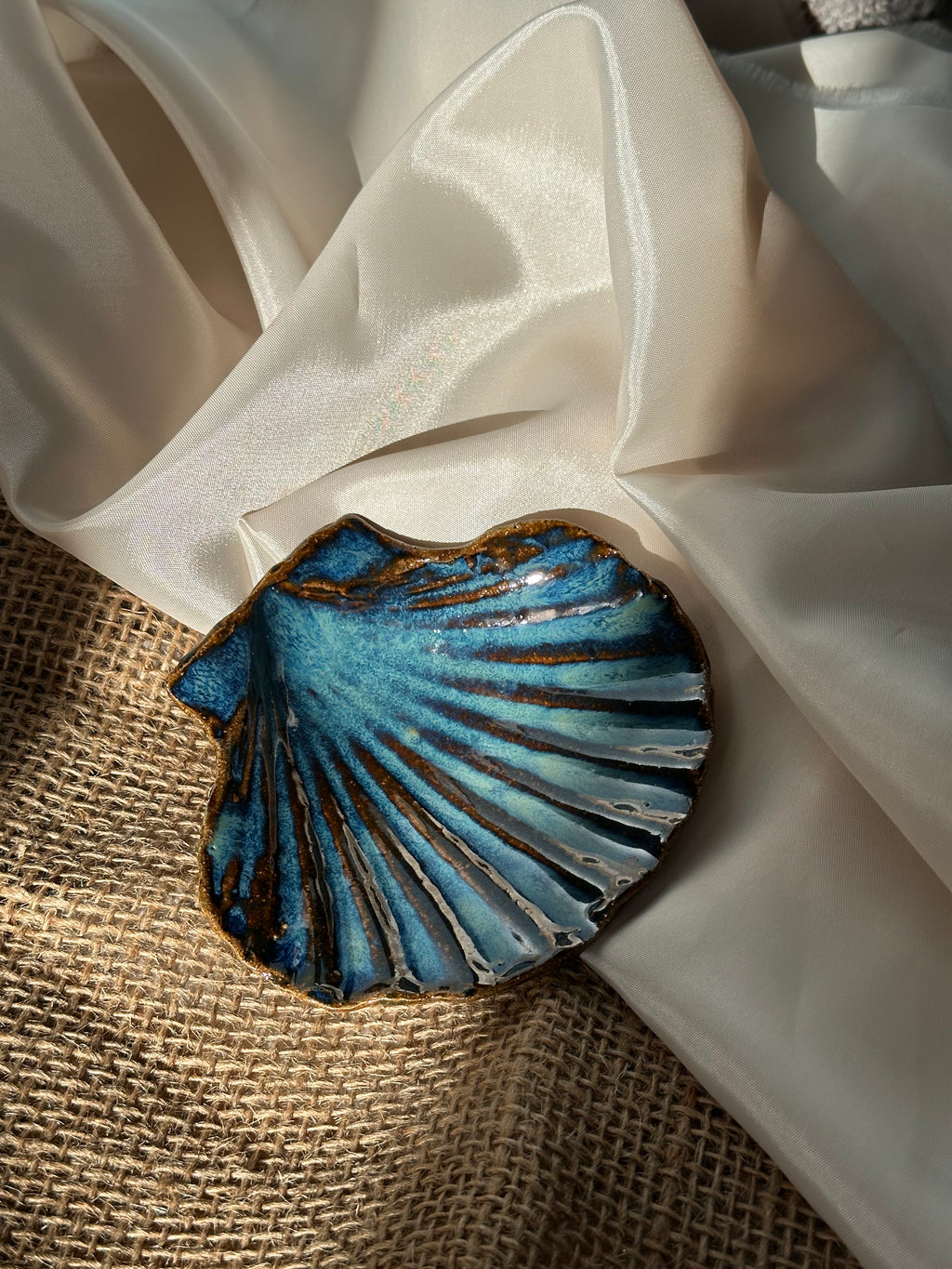 Coquille - Atlantica -