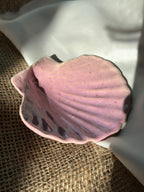 Coquille - Rosalia -