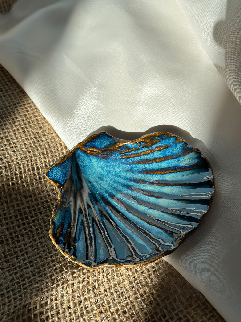 Coquille - Atlantica -