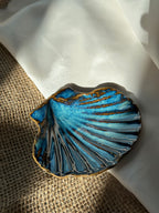 Coquille - Atlantica -