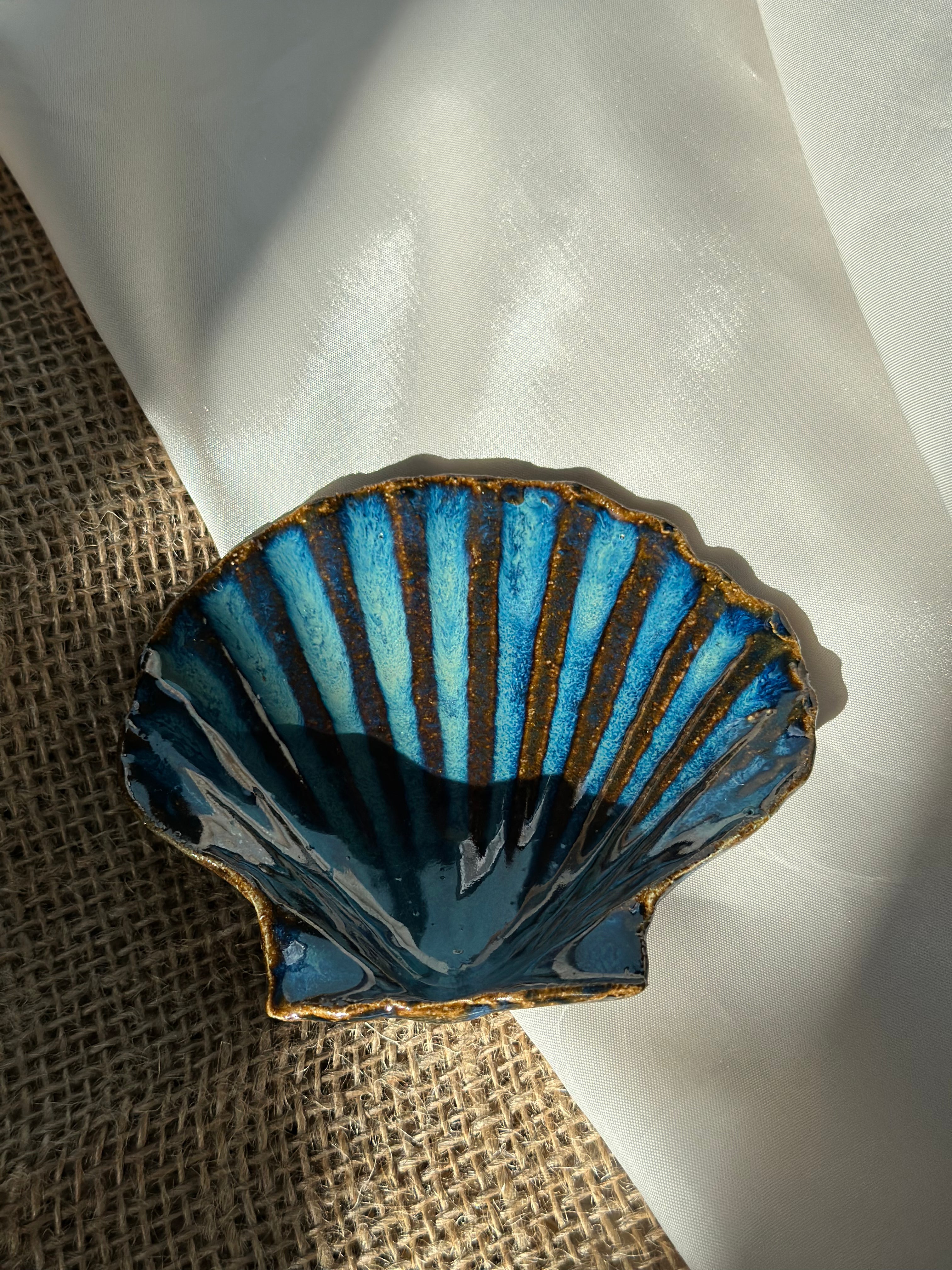 Coquille - Atlantica -