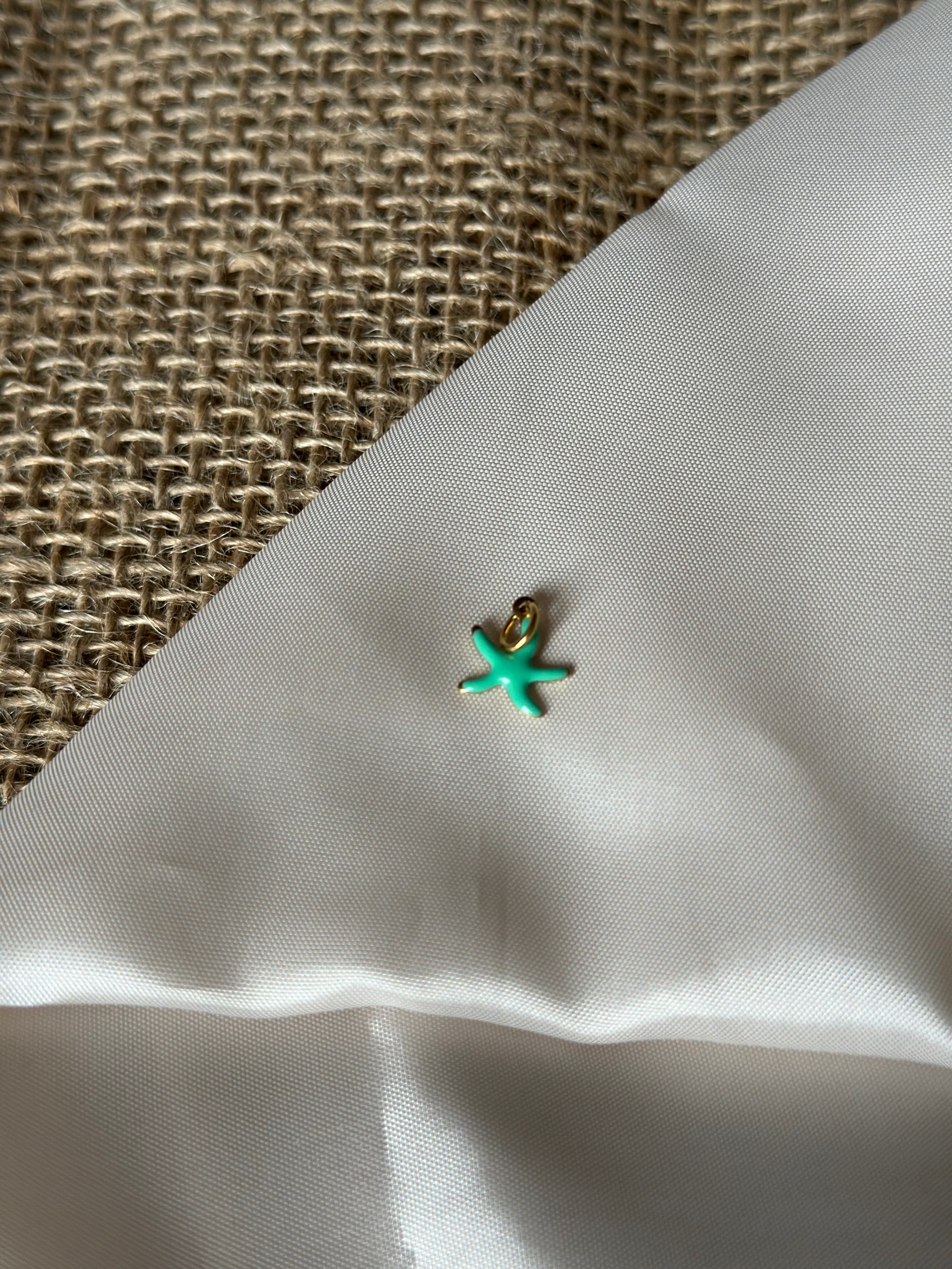 Charm étoile de mer verte